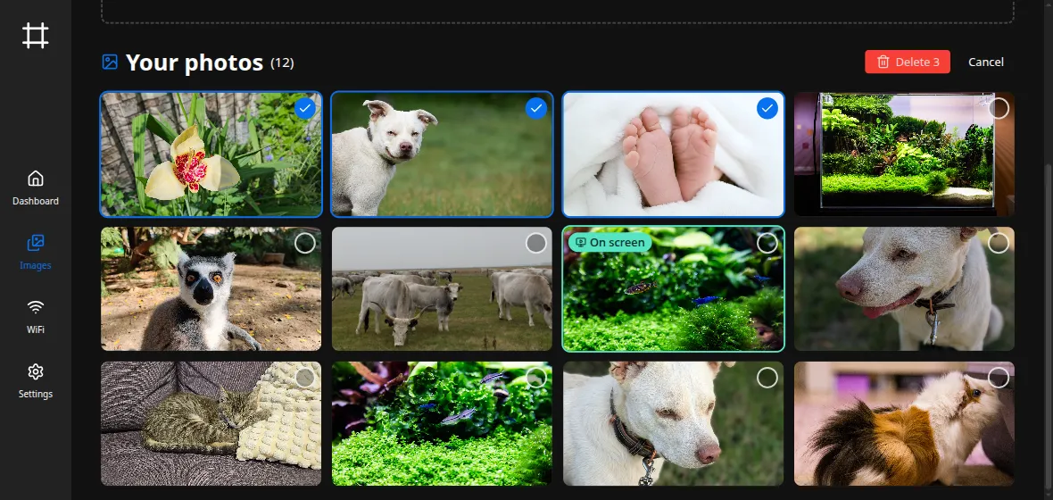 Select mode: several photos ticked, with a Delete button for the whole batch