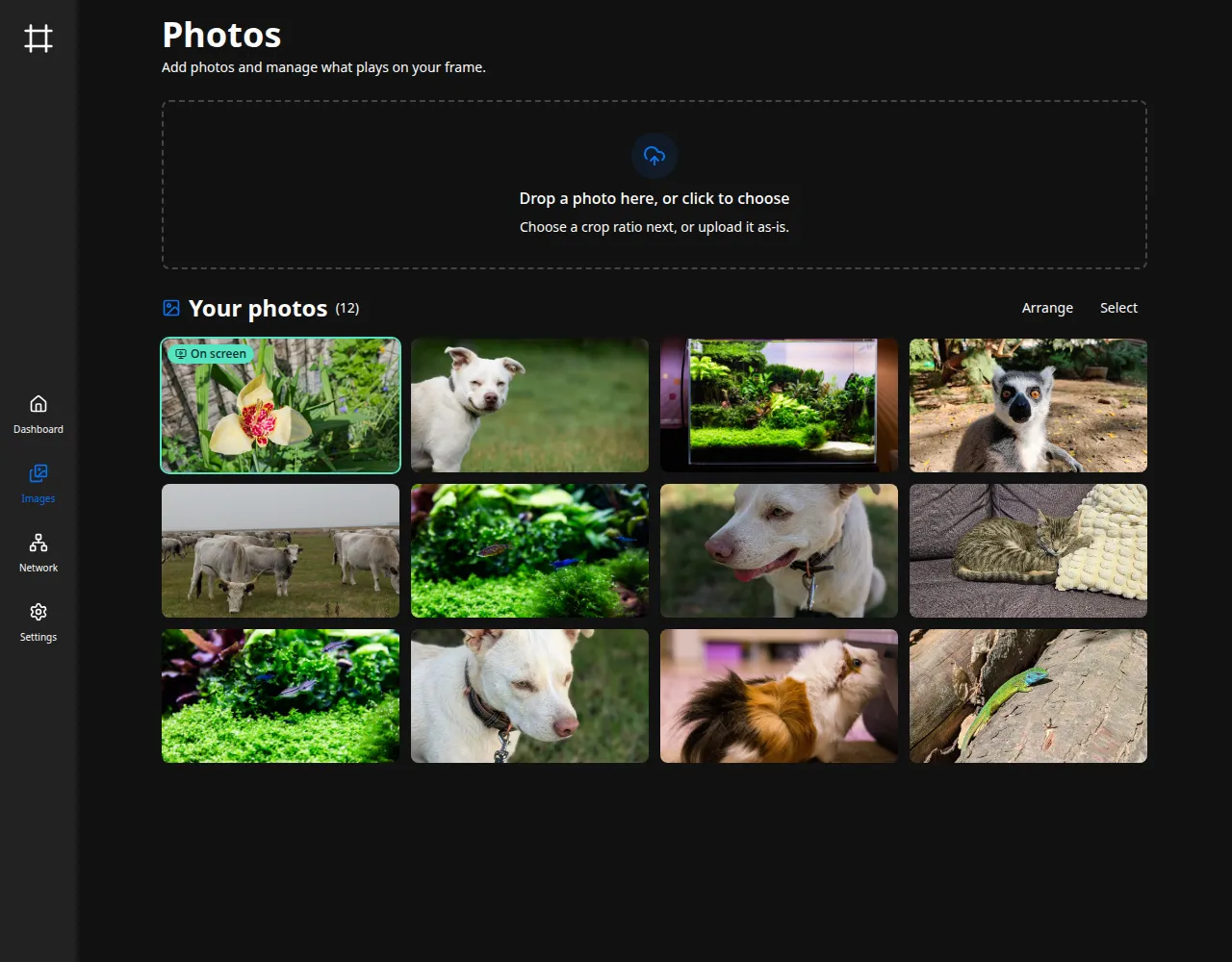 The Photos page with the local-files backend: an upload area above the photo grid