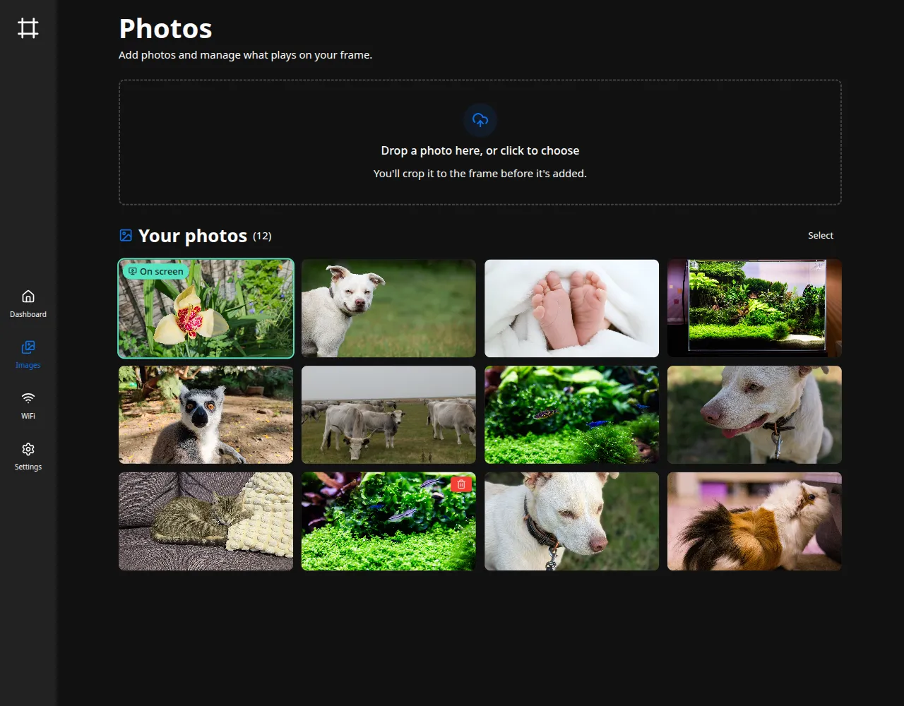 The Photos page with the local-files backend: an upload area above the photo grid